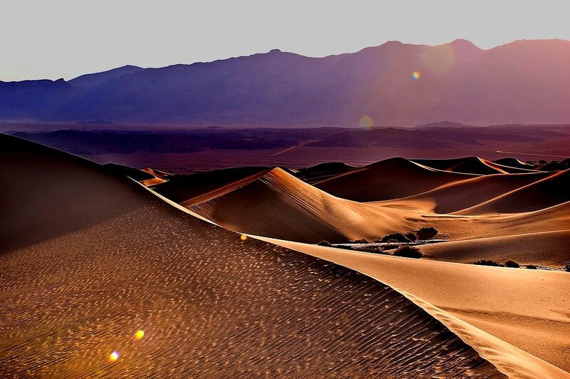 Sand Dunes in Desert — Brown
