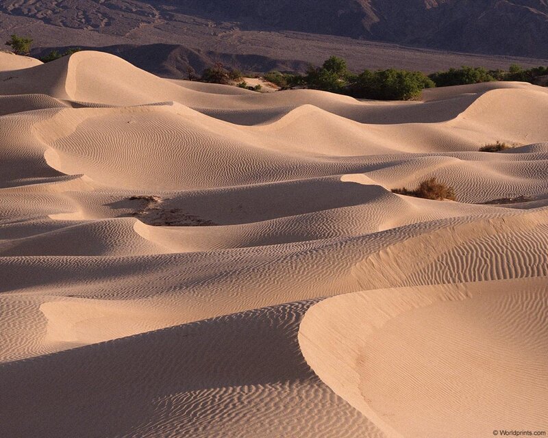Sand Dunes in Desert — Green