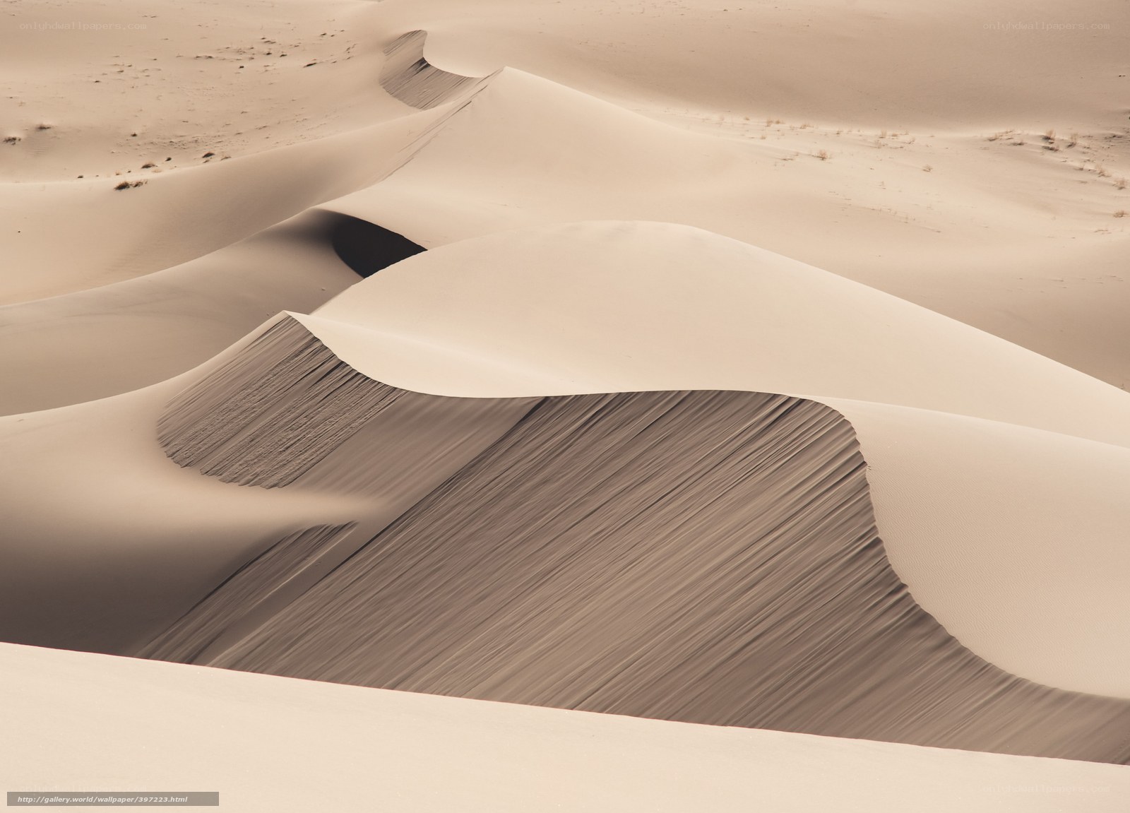 Sand dunes in desert landscape