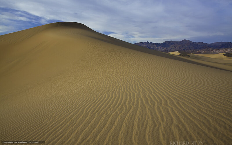Sand dunes in desert landscape