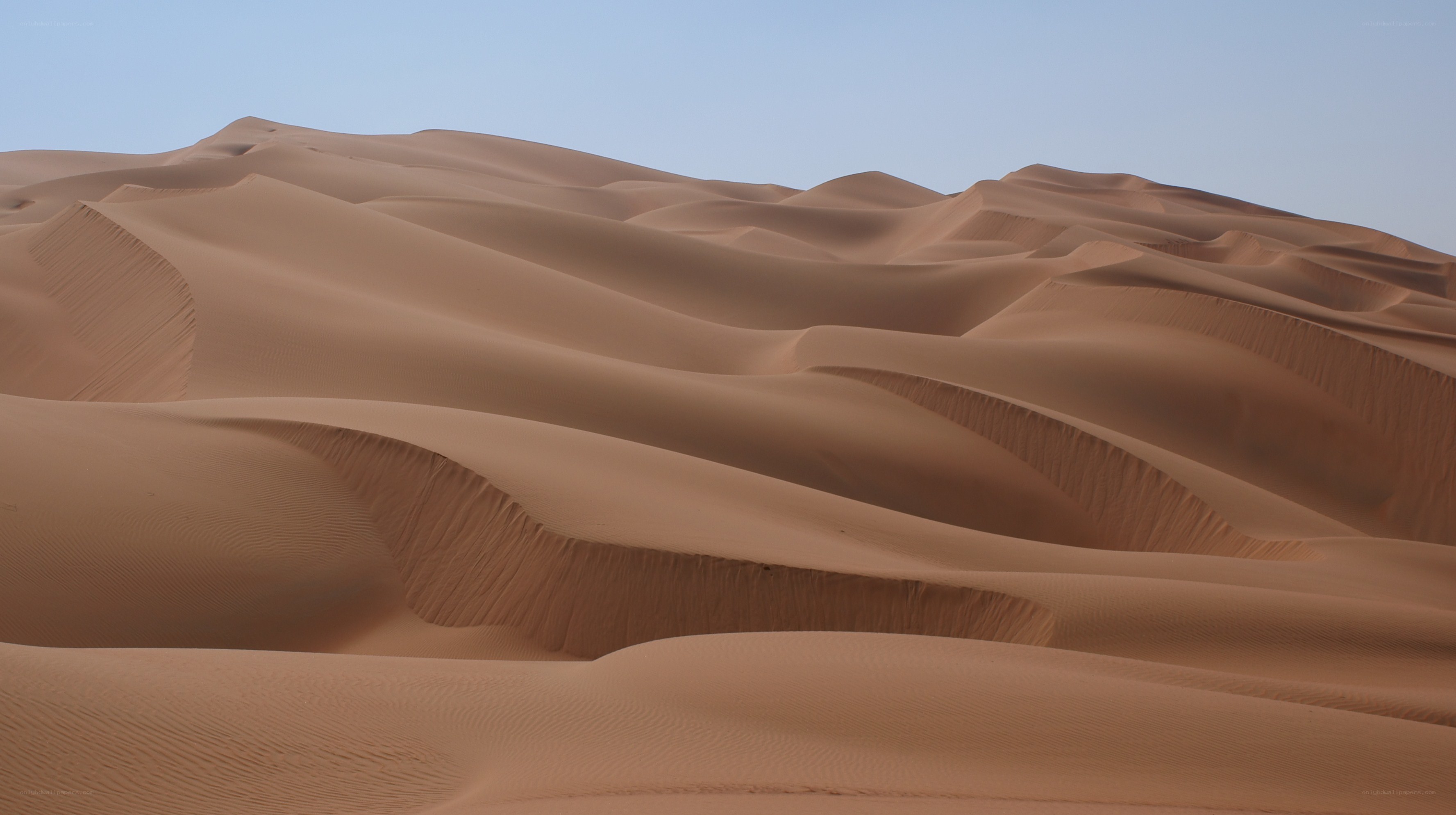 sand dunes in desert landscape