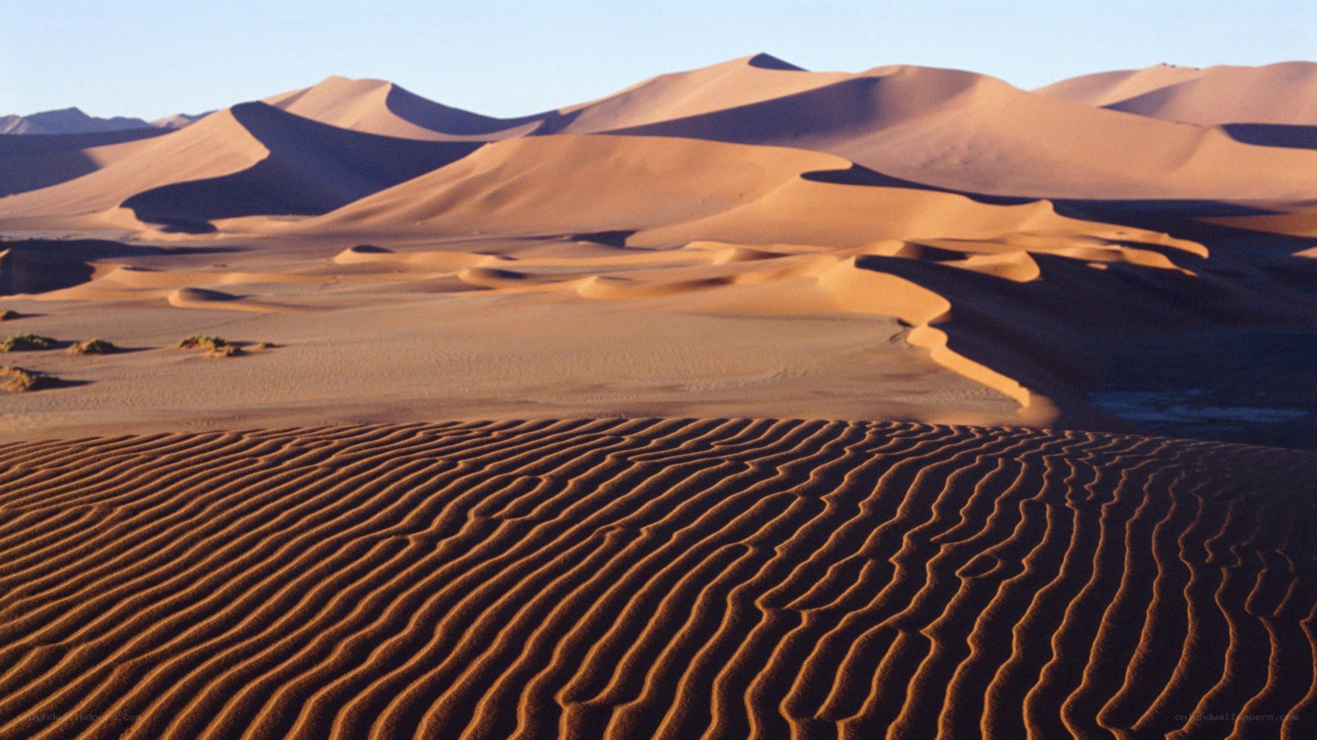 sand dunes in desert landscape