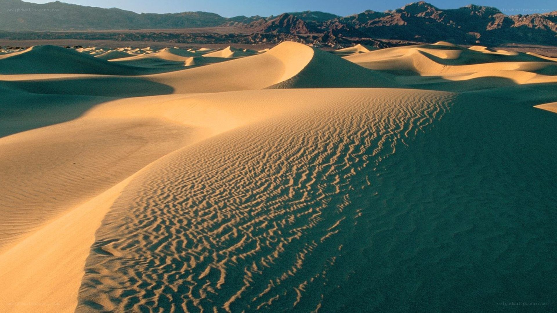 sand dunes in desert landscape