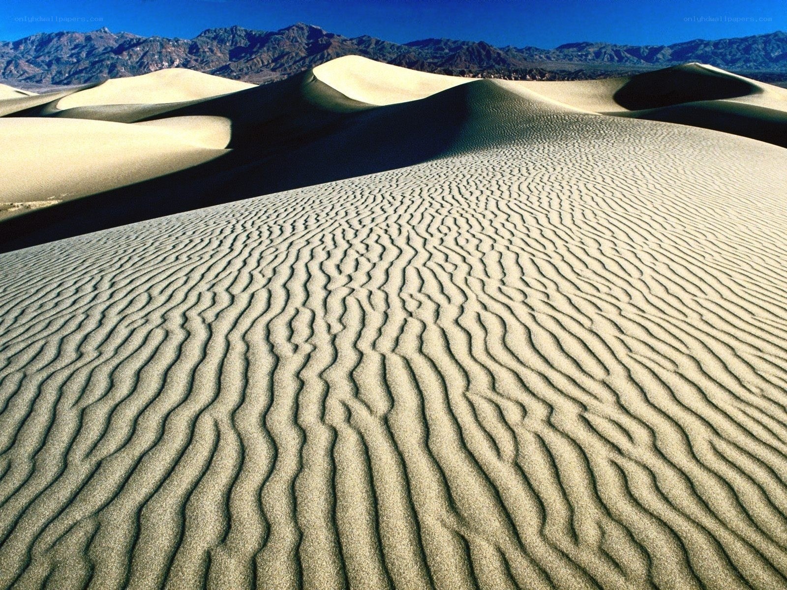 Sand dunes in desert landscape