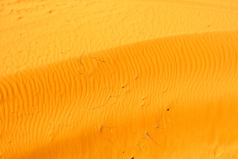 Sand Dunes in Desert — Orange, Arid, Afternoon, Photograph, Dry Grass