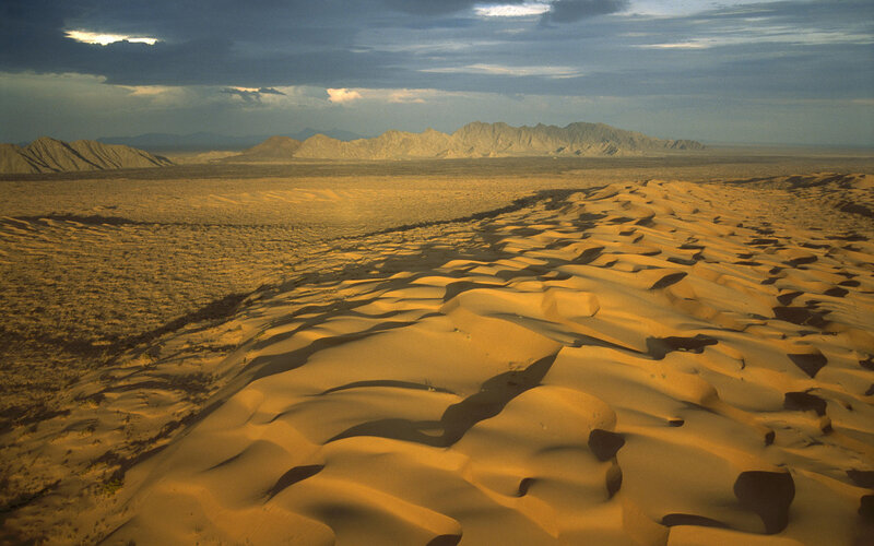 Sand Dunes in Desert — Orange, Dramatic, Sunset, Photograph