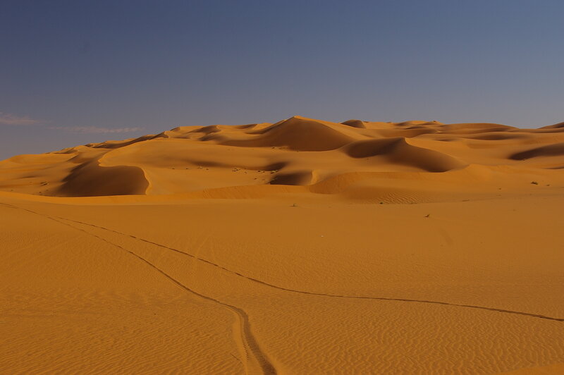 Sand Dunes in Desert — Orange, Serene, Afternoon, Photograph, Sky, Tracks