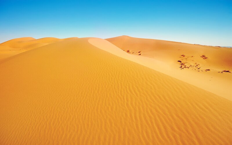 Sand Dunes in Desert — Orange, Serene, Afternoon, Photograph, Sky, Vegetation, Blue