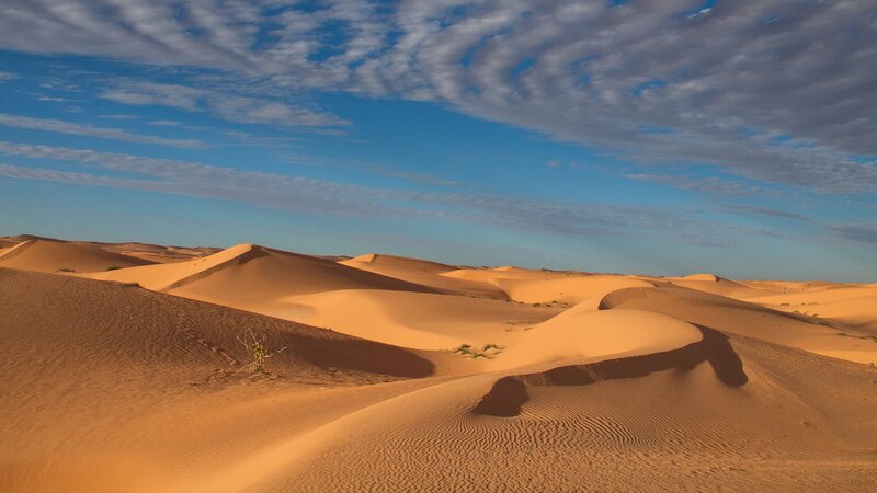 Sand Dunes in Desert — Orange, Serene, Morning, Photograph, Sky