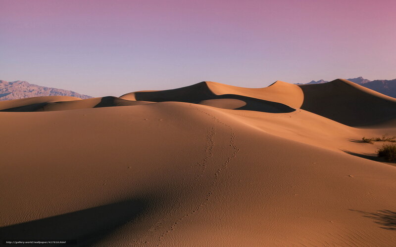 Sand Dunes in Desert — Orange, Serene, Sunset, Photograph, Mountains, Footprints