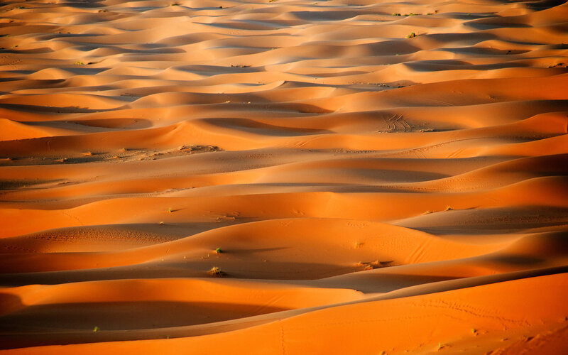 Sand Dunes in Desert — Orange, Serene, Sunset, Photograph, Shadows, Plants