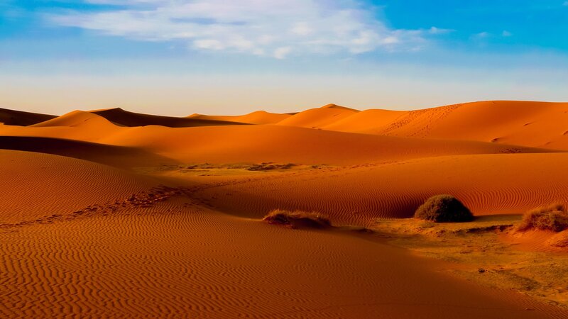 Sand Dunes in Desert — Orange, Serene, Sunset, Photograph, Sky, Bushes