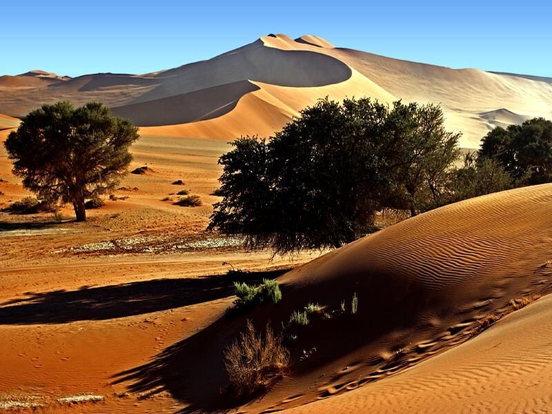 Sand Dunes in Desert — Orange