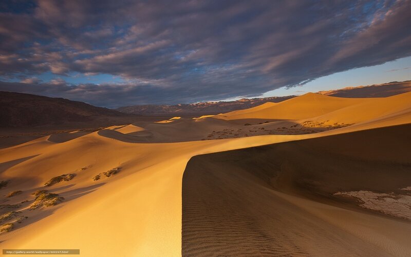 Sand Dunes in Desert — Yellow, Dramatic, Sunset