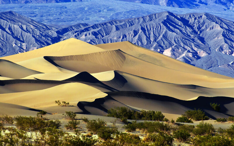 Sand Dunes in Desert — Yellow, Dramatic
