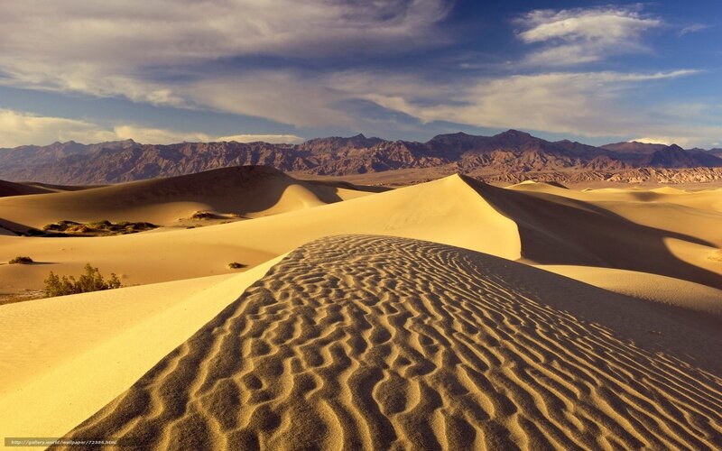 Sand Dunes in Desert — Yellow, Serene, Afternoon, Photograph