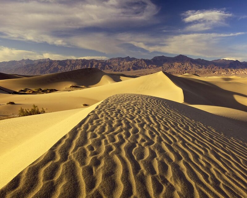 Sand Dunes in Desert — Yellow, Serene, Afternoon