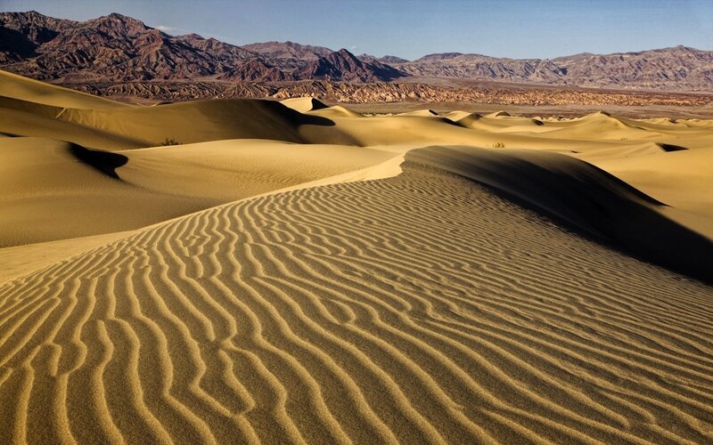 Sand Dunes in Desert — Yellow, Serene