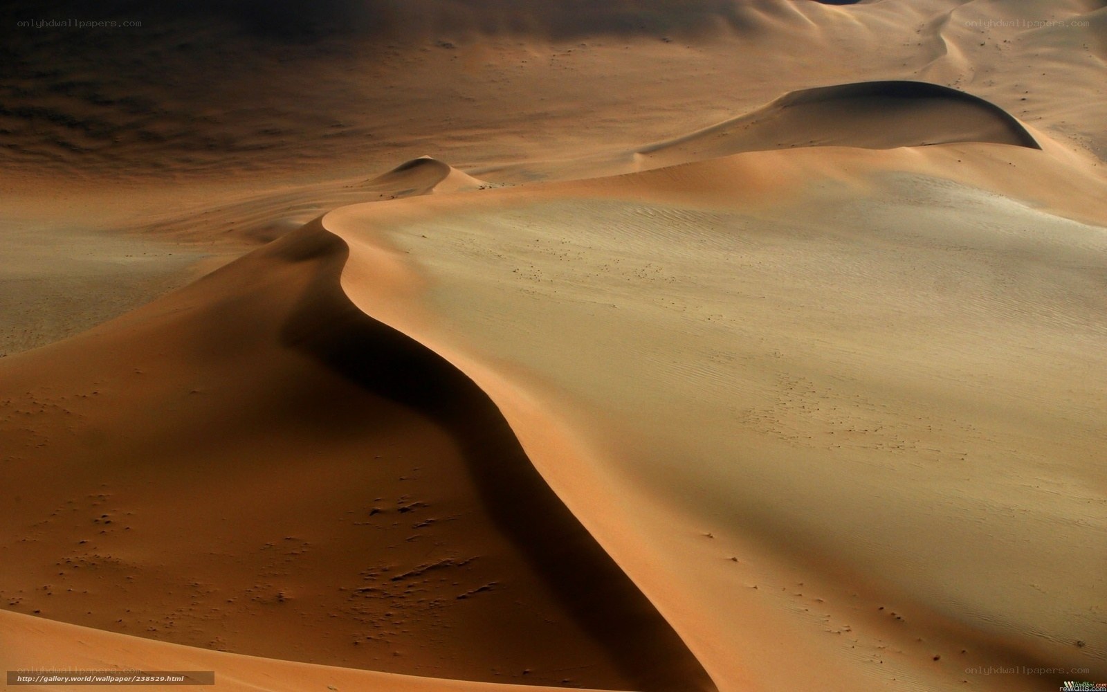 sand dunes in desert