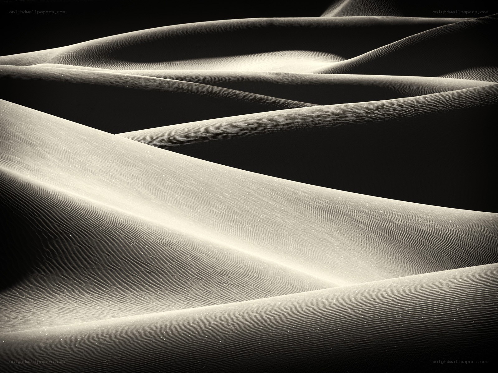 Sand dunes in monochrome