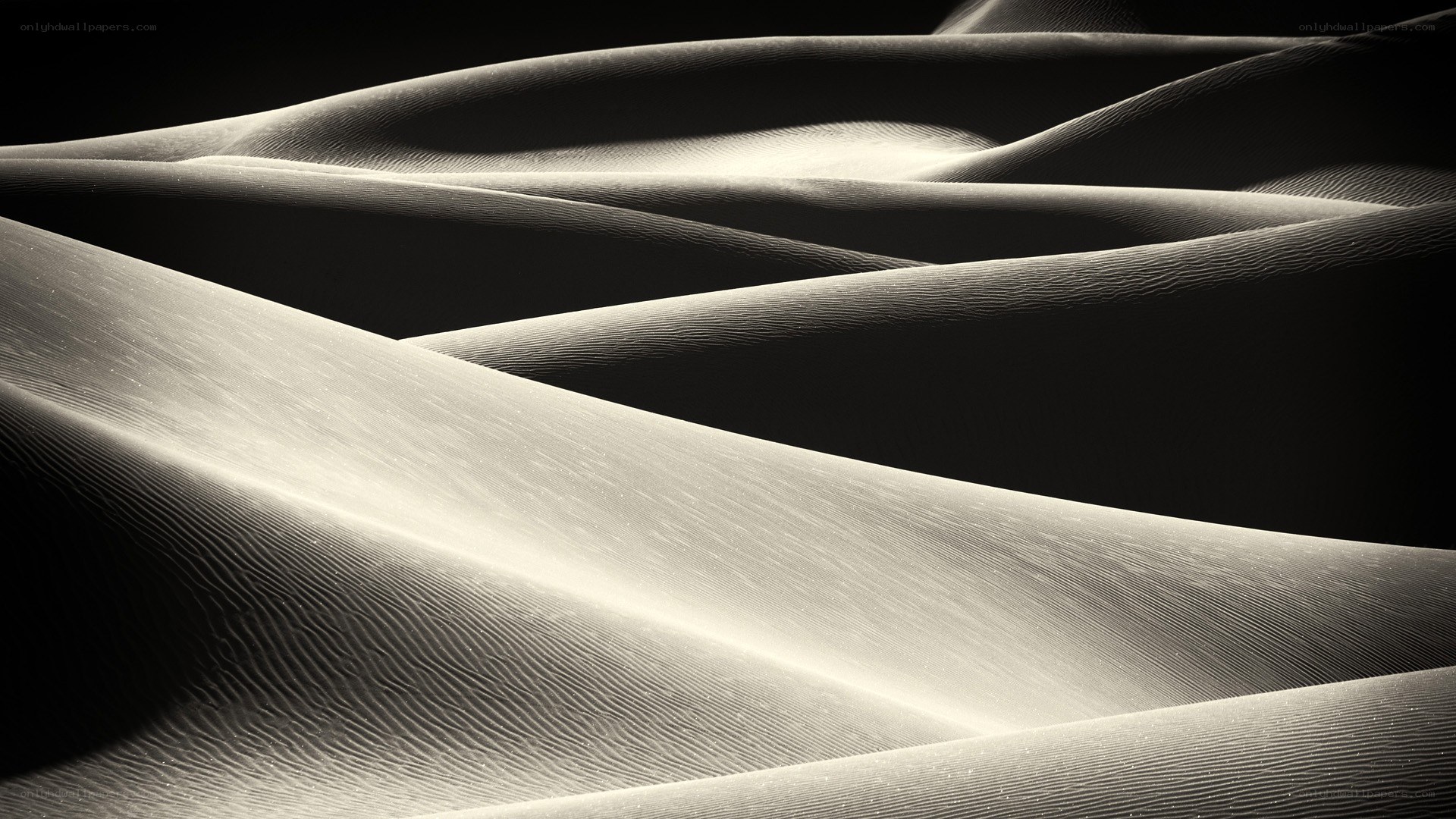 Sand dunes in monochrome