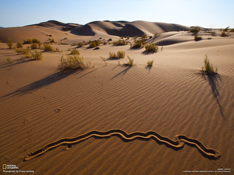 Sand dunes in Namibia