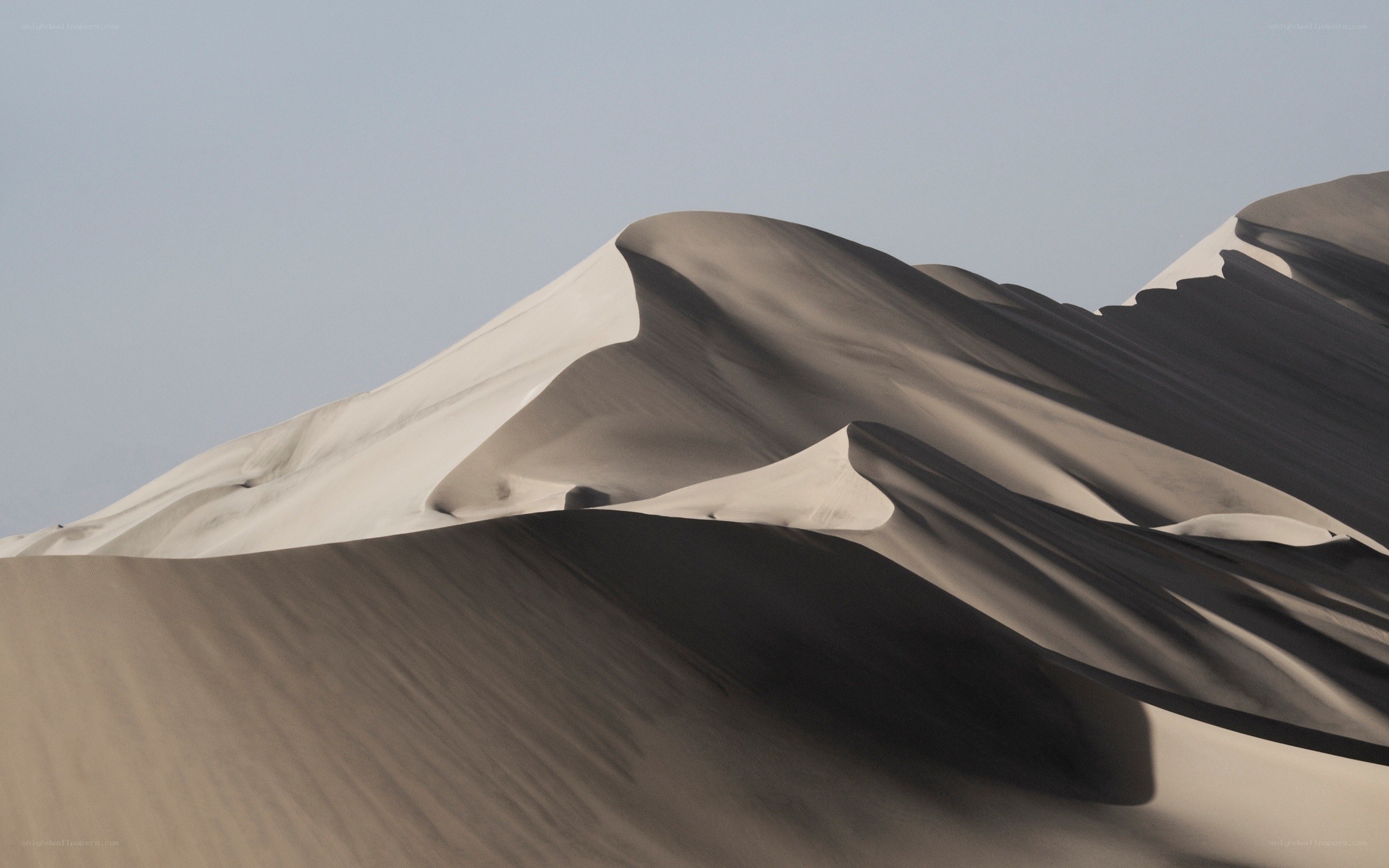Sand dunes in the desert