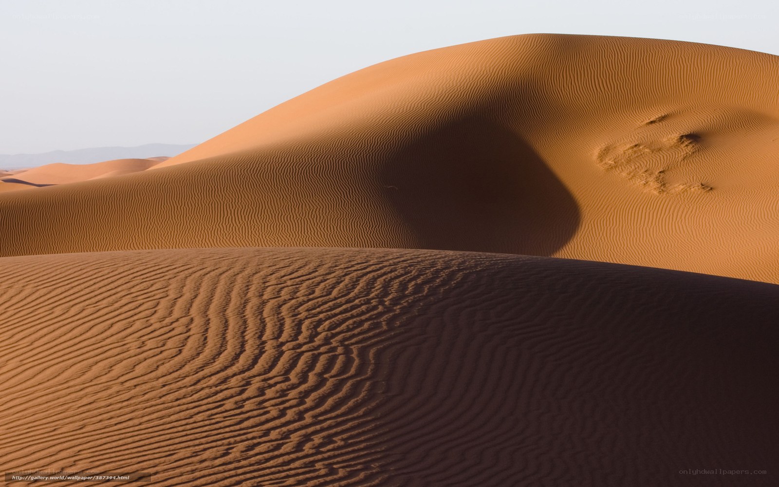 Sand dunes in the desert