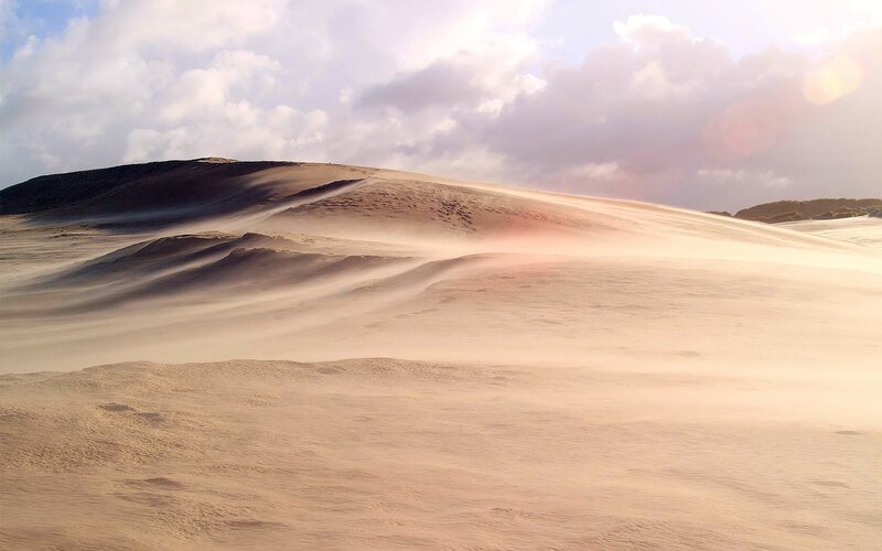 Sand Dunes in Wind