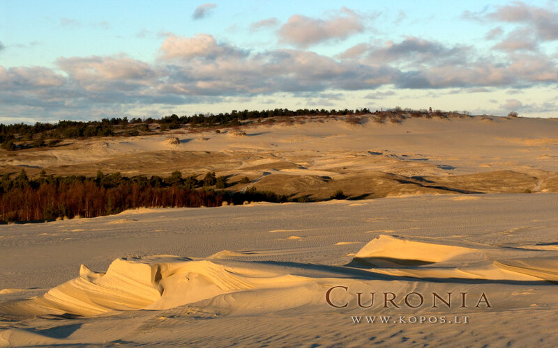 Sand Dunes Landscape — Beige