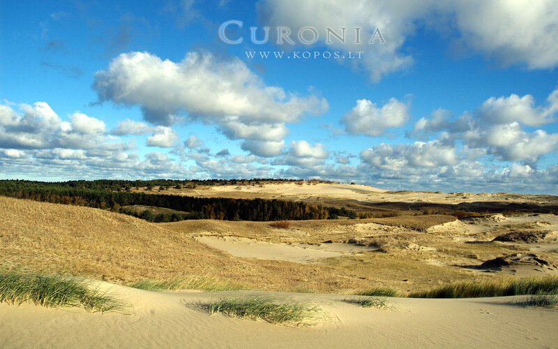 Sand Dunes Landscape — Blue
