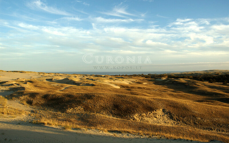 Sand Dunes Landscape