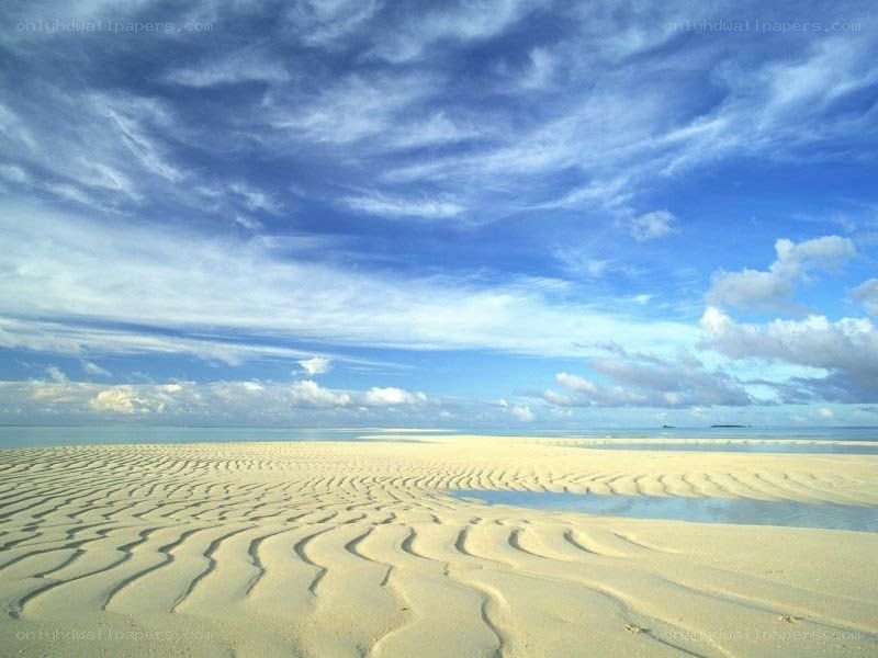 Sand dunes on a tropical beach