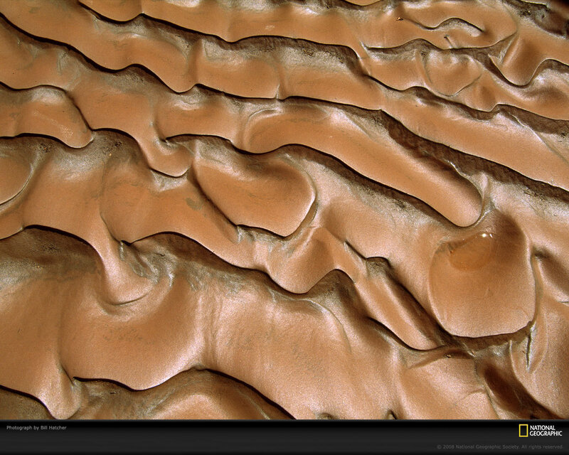 Sand Dunes Texture — Brown