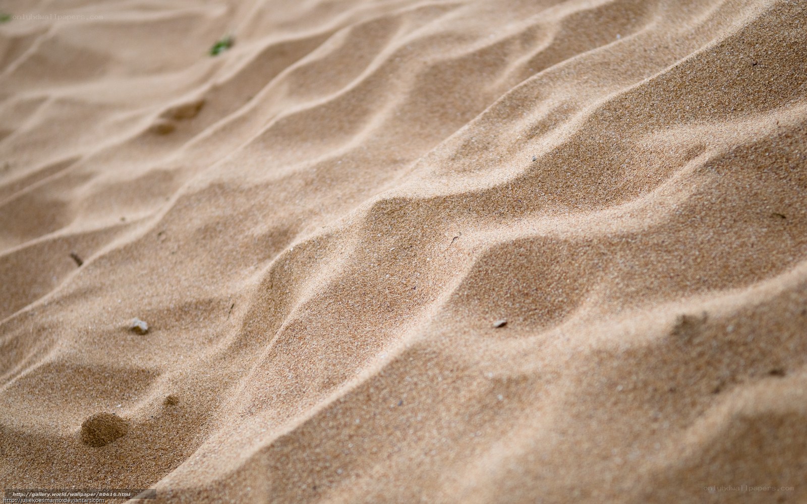 sand dunes texture