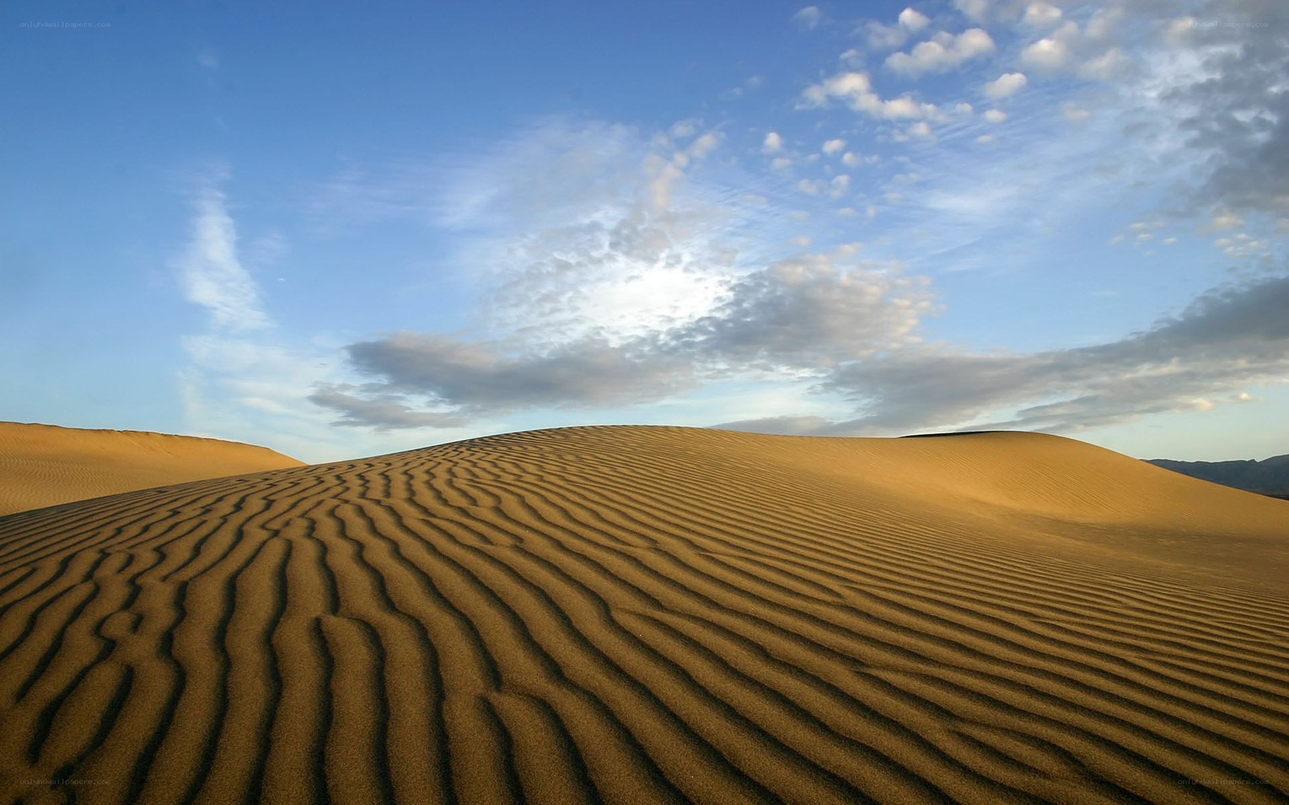 Sand dunes under a blue sky