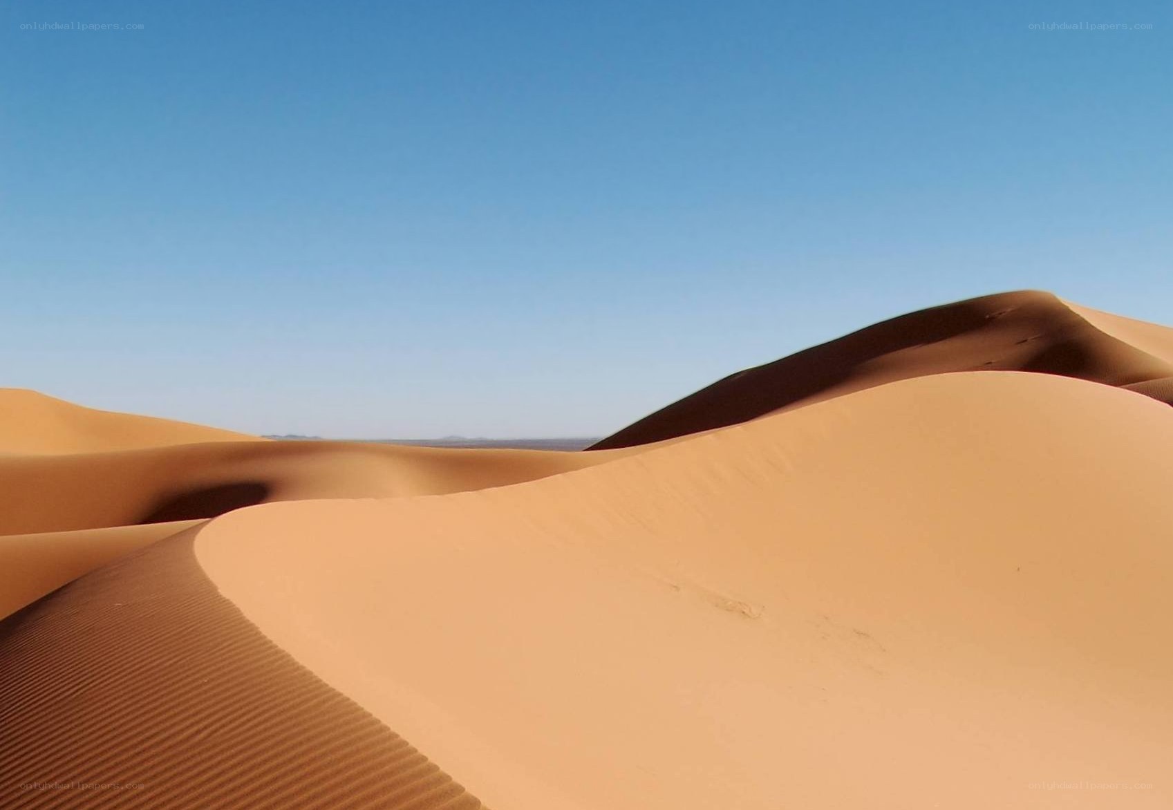 sand dunes under blue sky