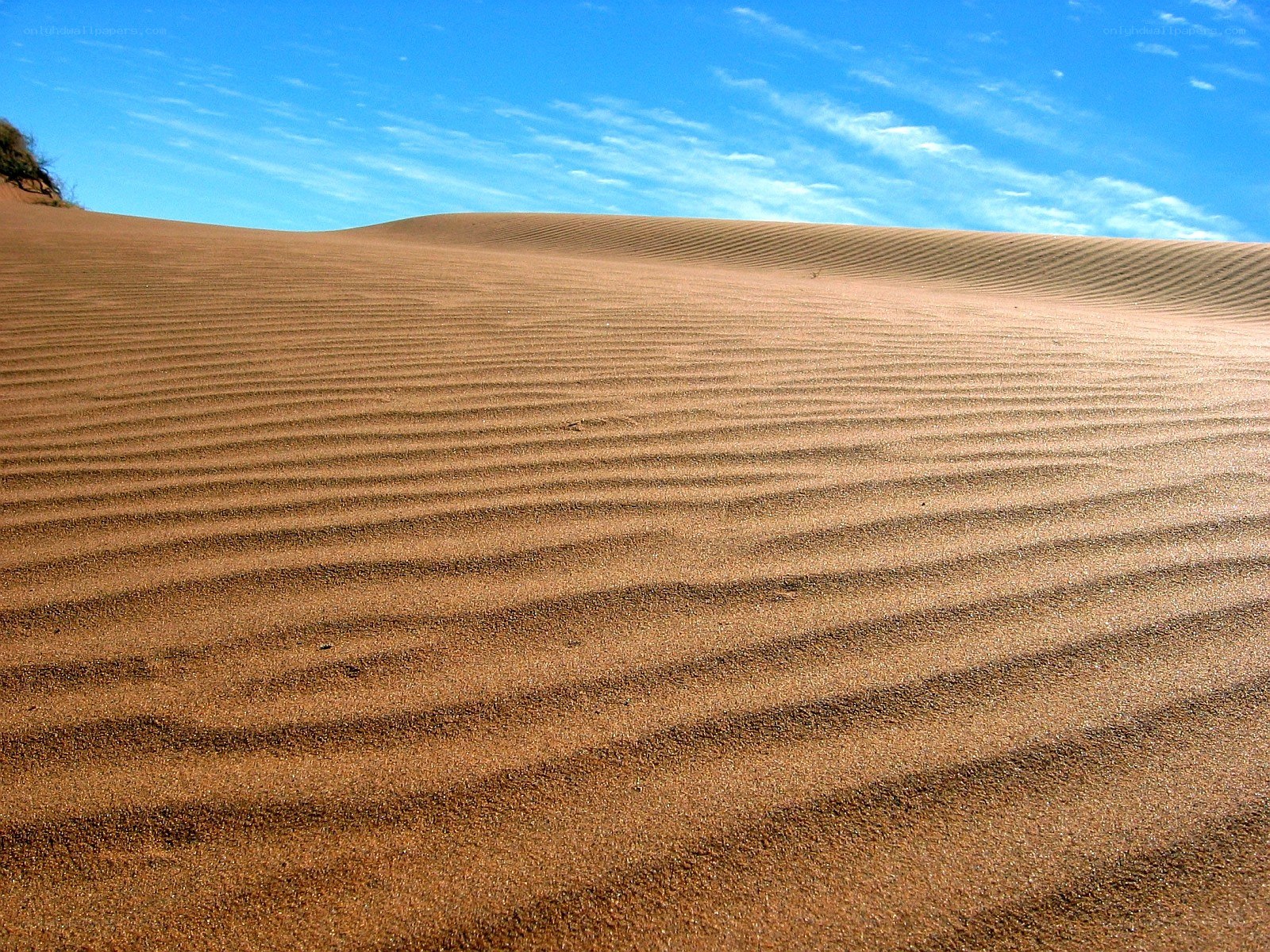 Sand dunes under blue sky
