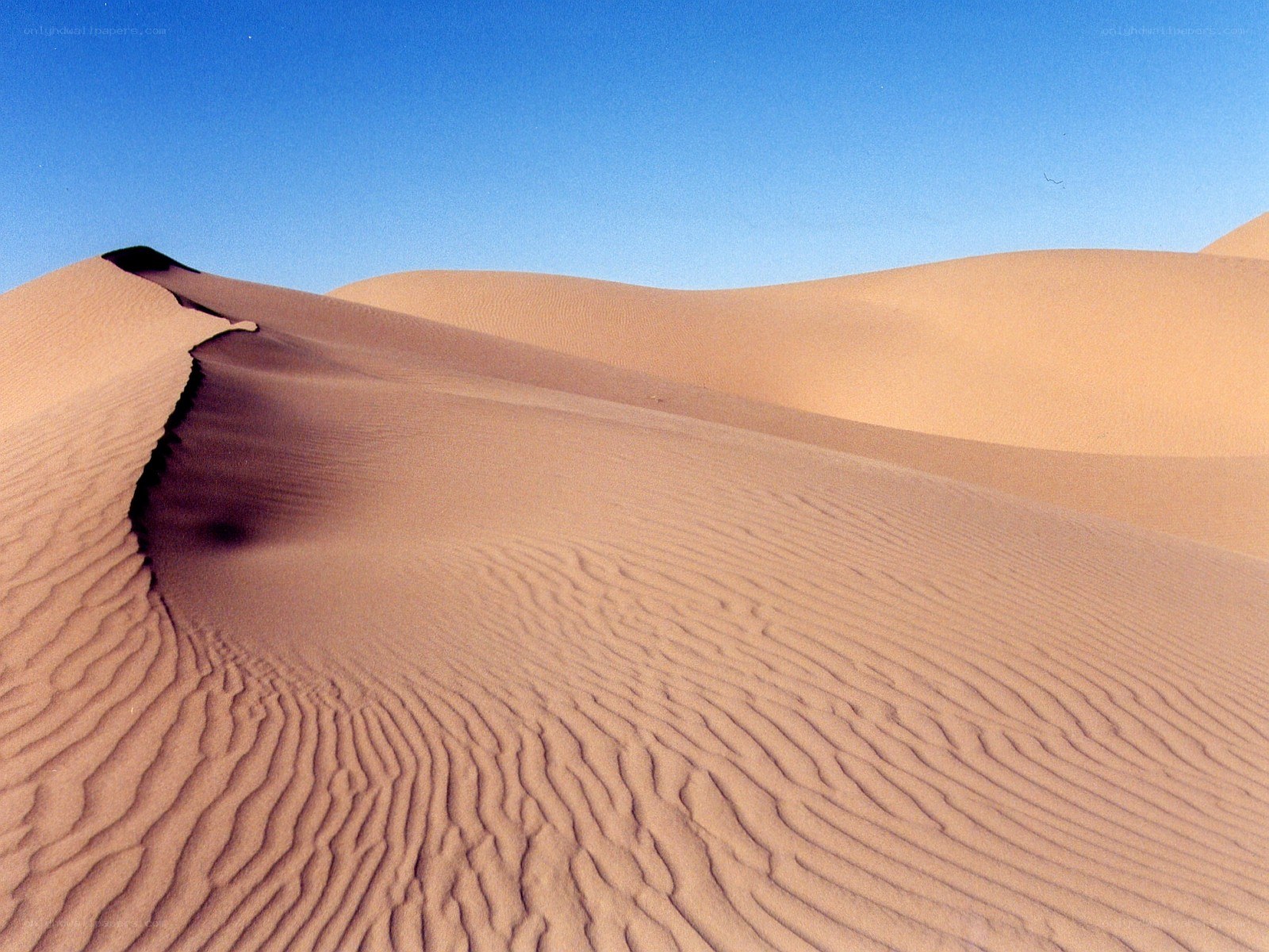 Sand dunes under blue sky