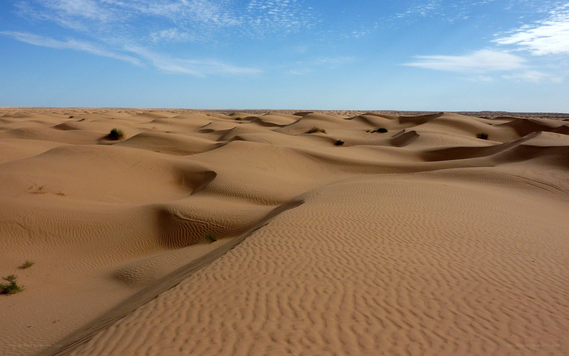 sand dunes under blue sky