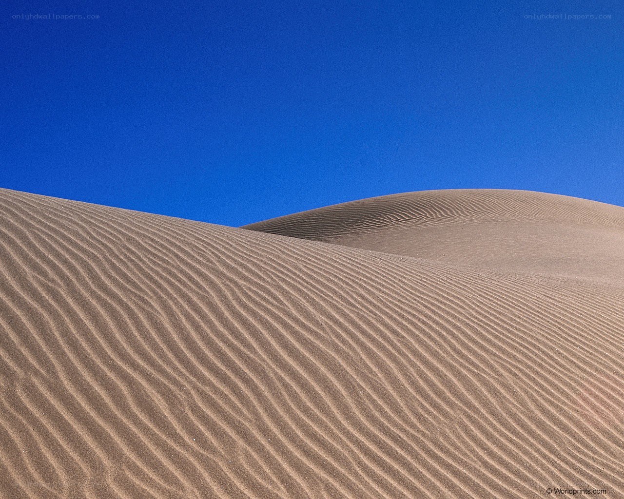 Sand dunes under blue sky