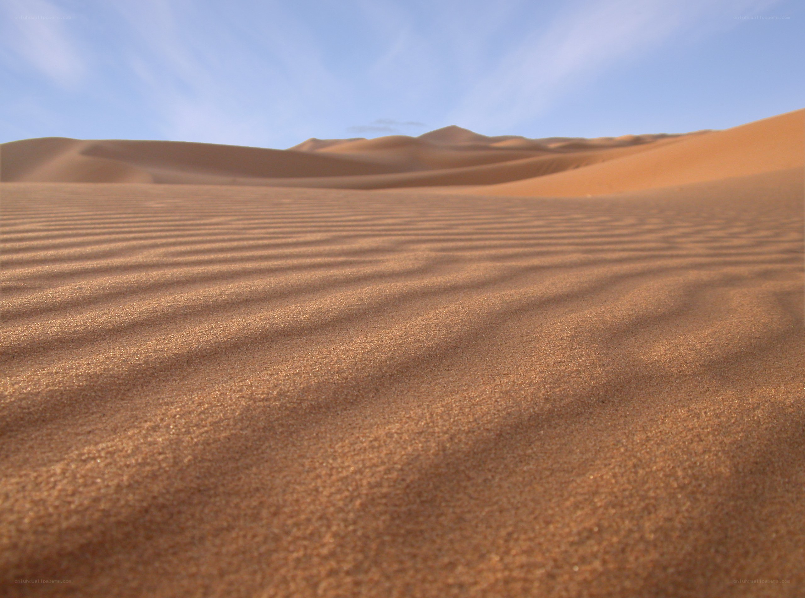 sand dunes under blue sky