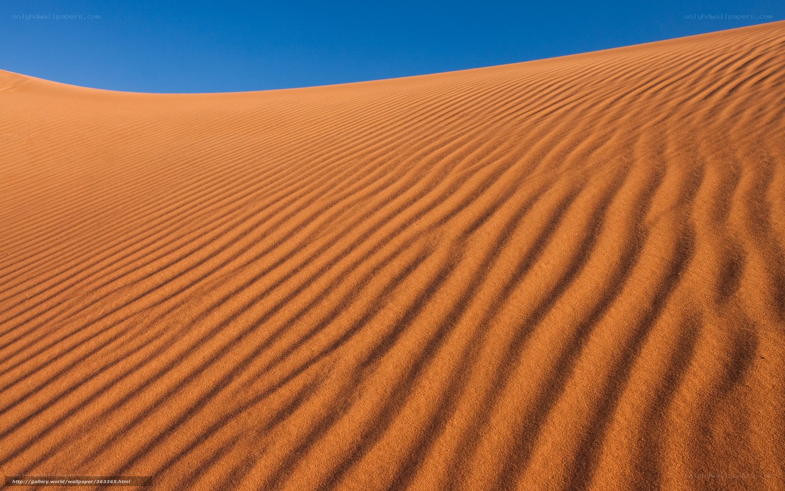 Sand dunes under blue sky