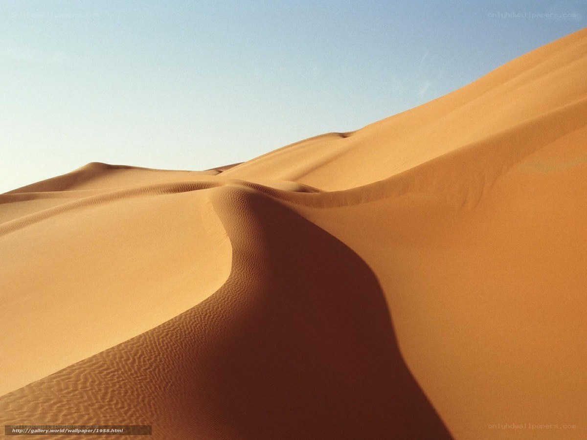 sand dunes under blue sky