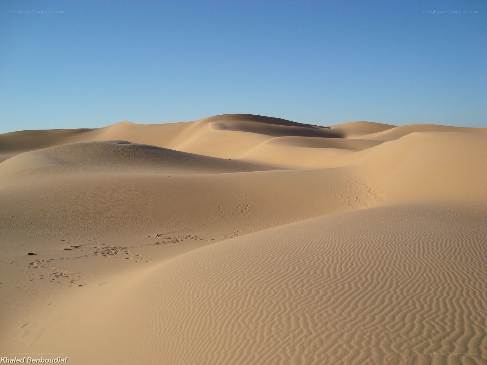 Sand dunes under clear sky