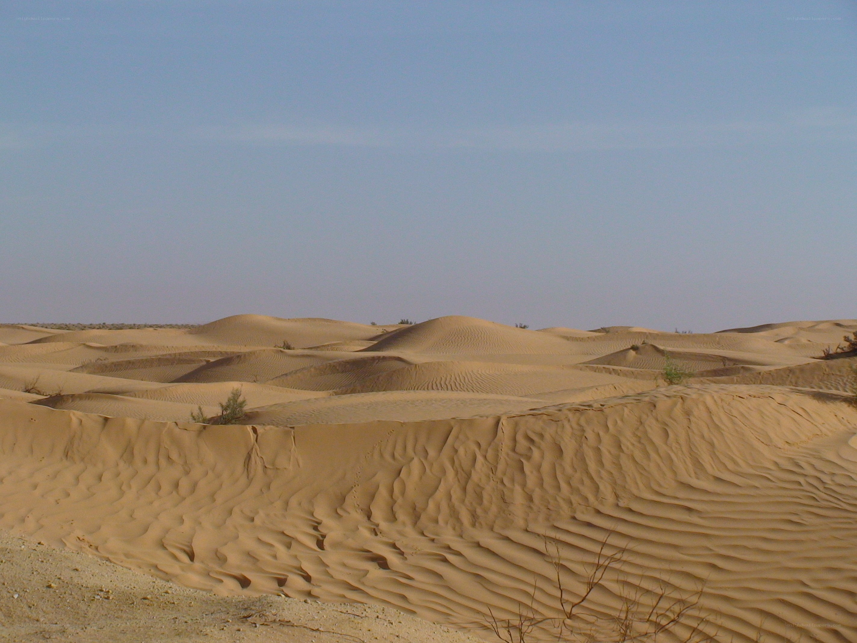 sand dunes under clear sky