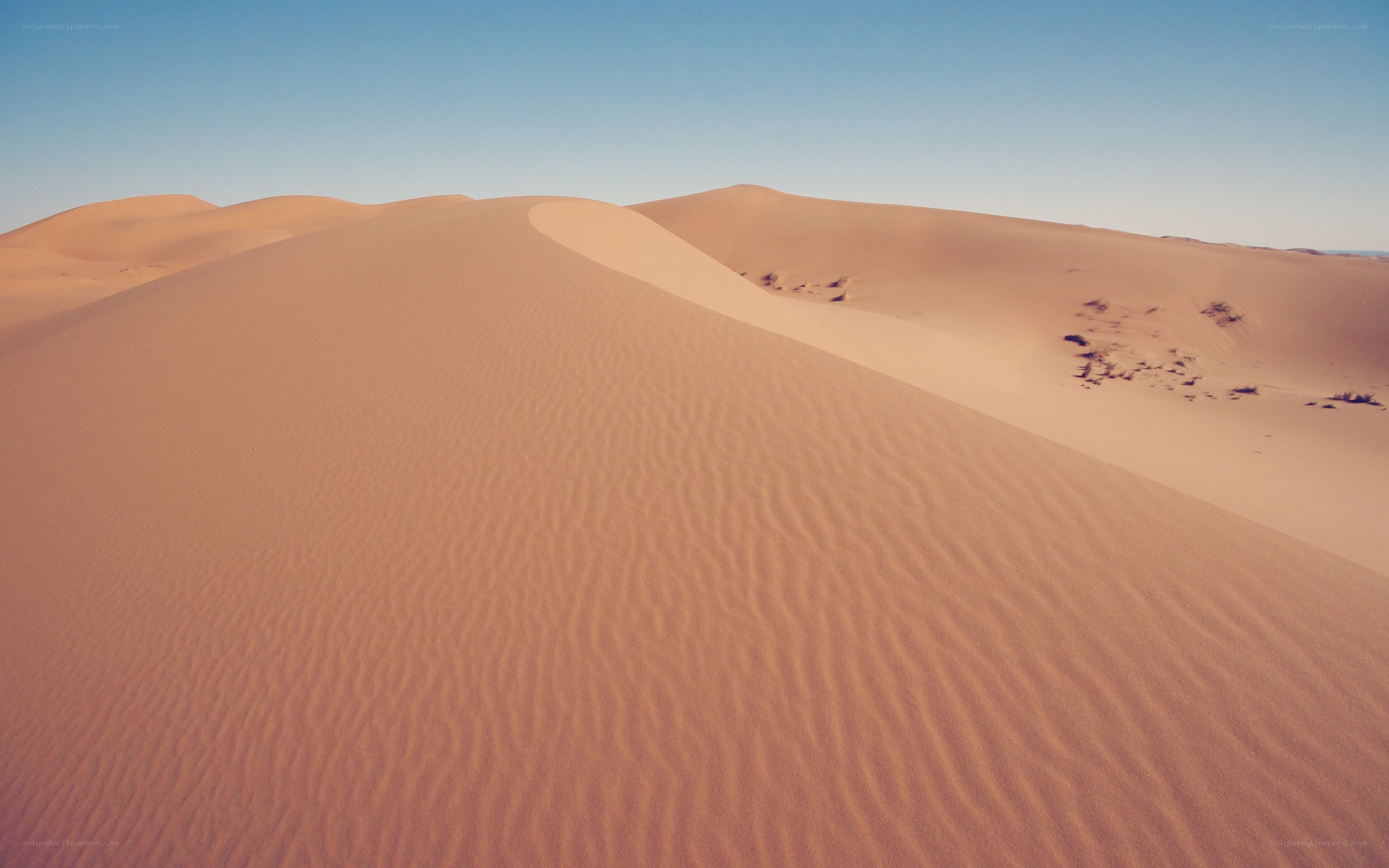 Sand dunes under clear sky