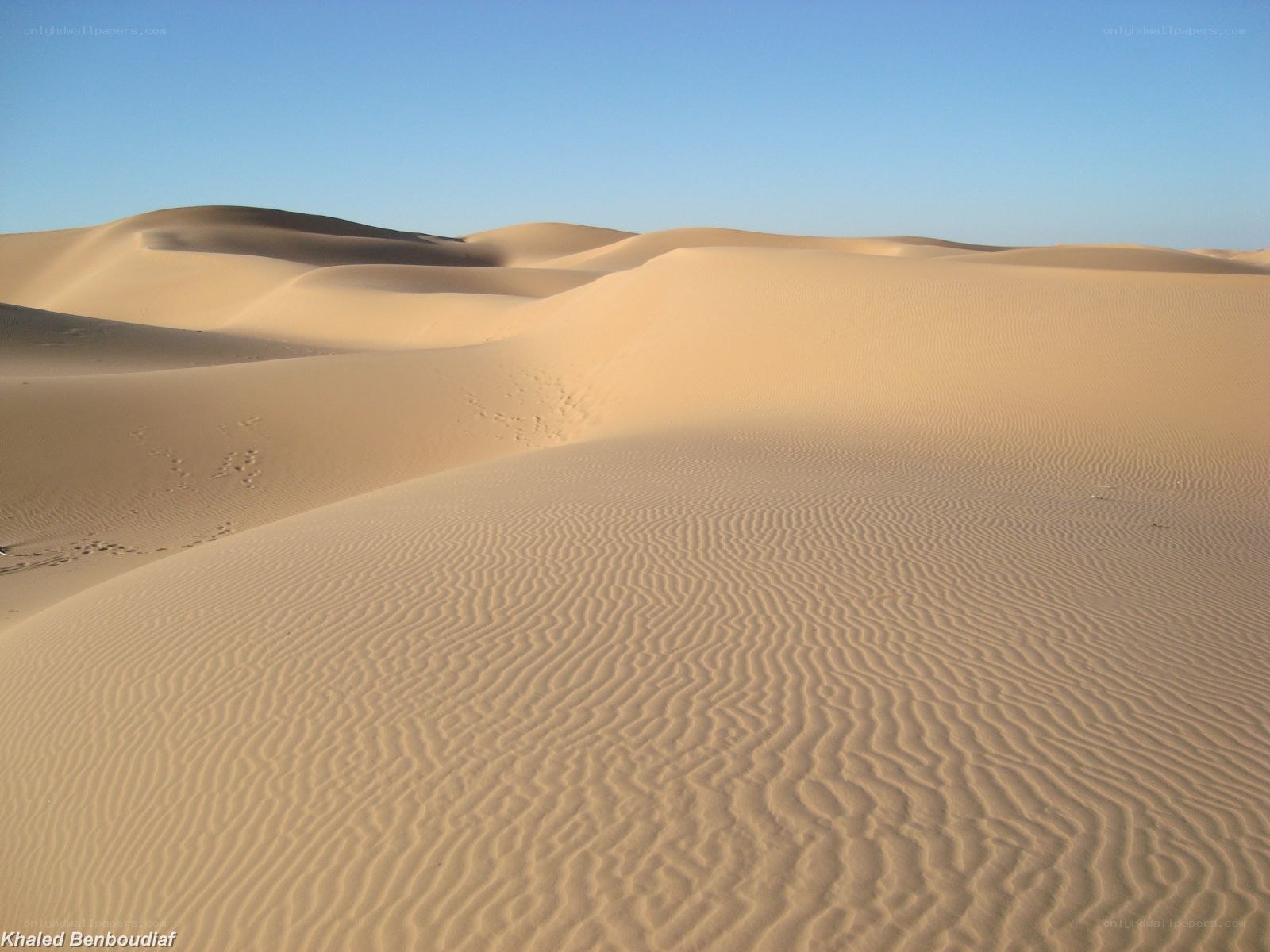 Sand dunes under clear sky