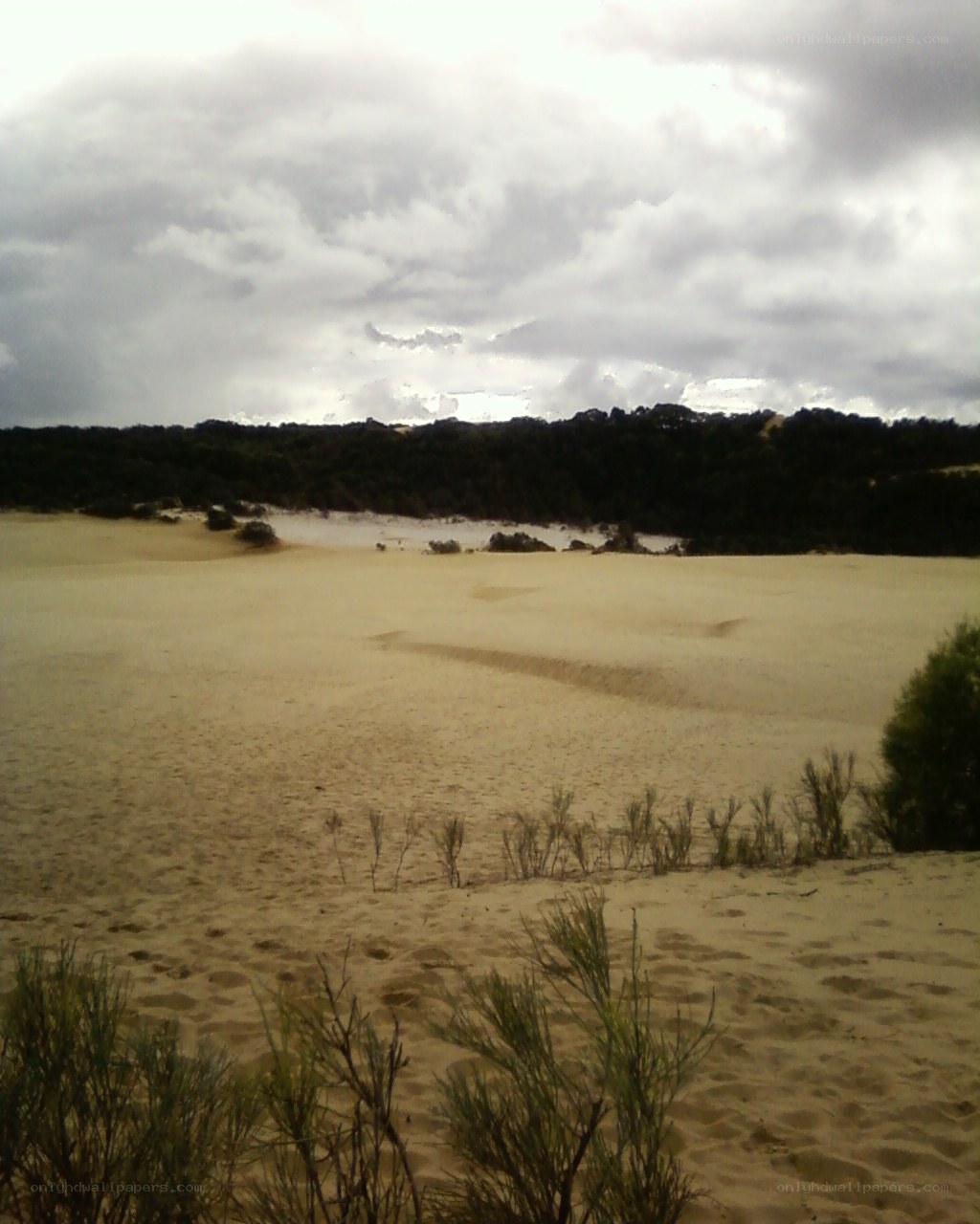 sand dunes under cloudy sky