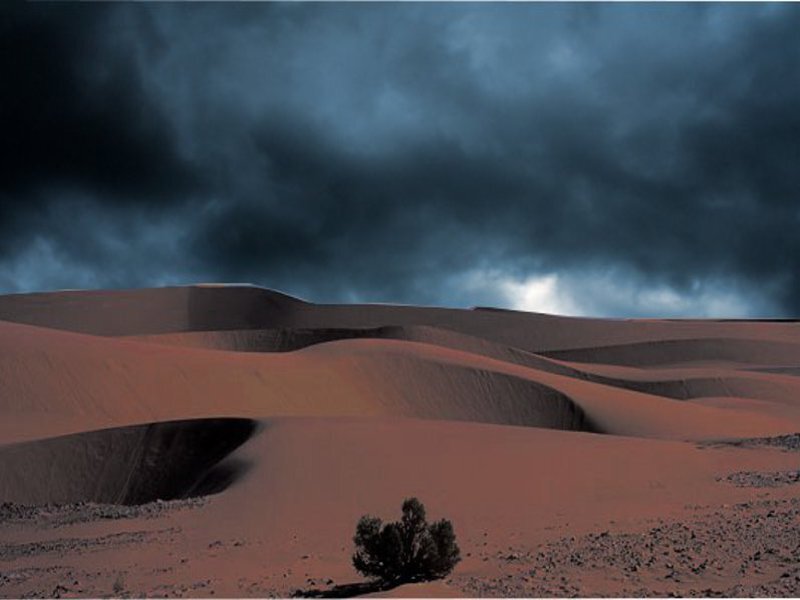 Sand Dunes under Stormy Sky — Brown, Dramatic, Photograph, Tree
